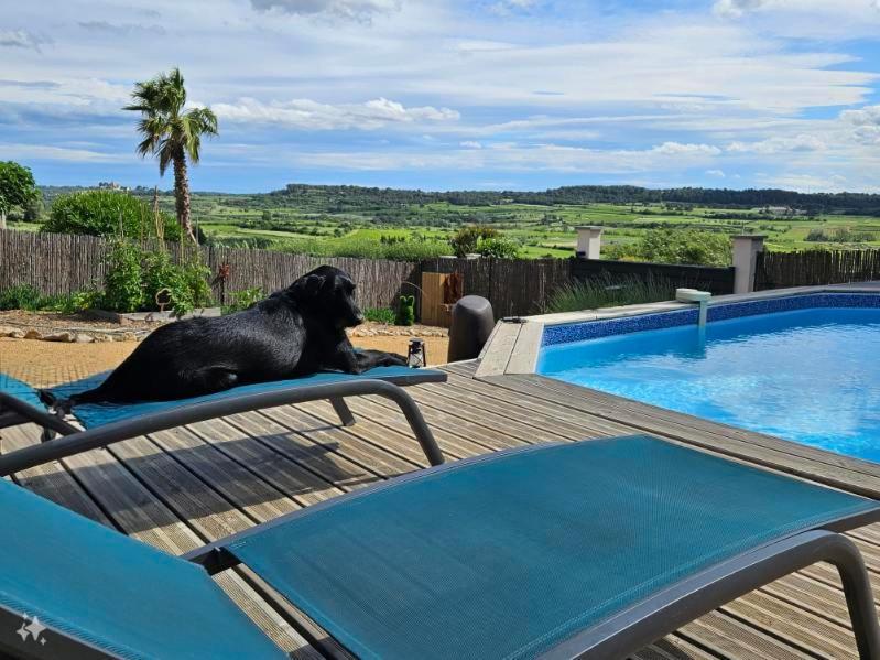 Domaine Du Chene Hotel Campagnan Eksteriør billede