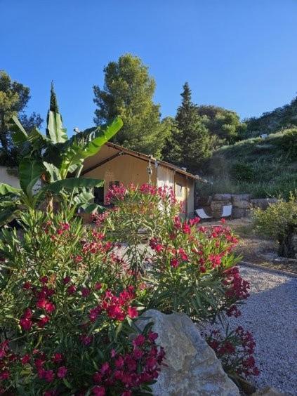 Domaine Du Chene Hotel Campagnan Eksteriør billede